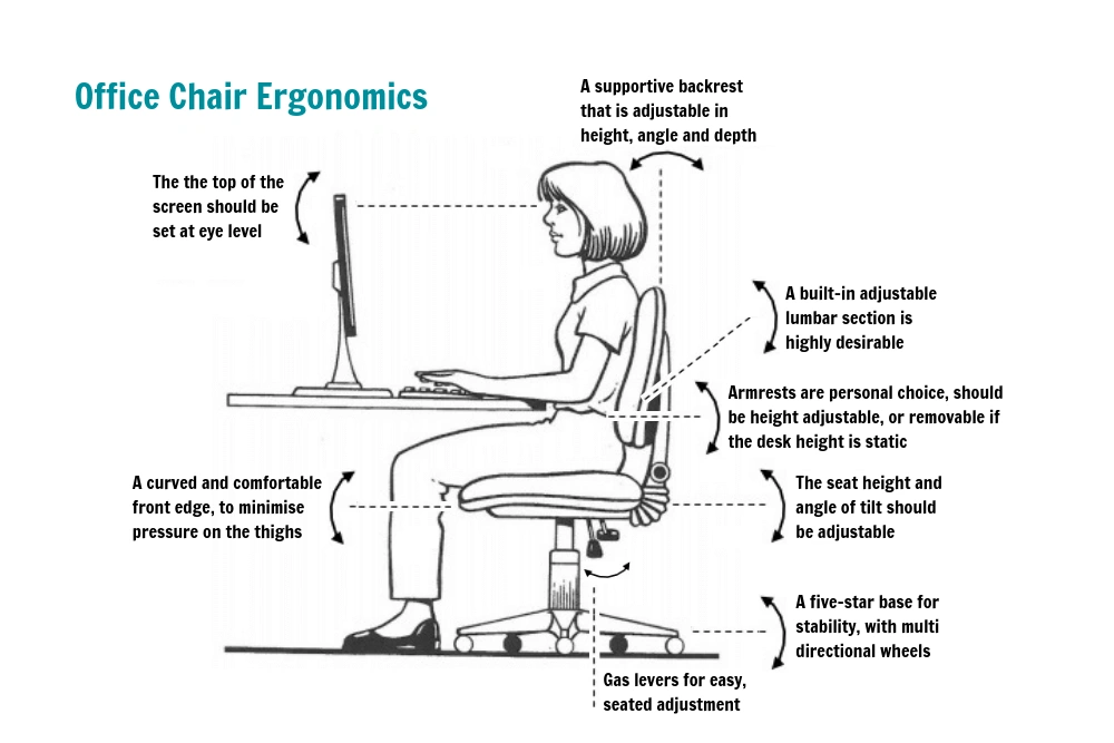 Ergonomics  of a chair